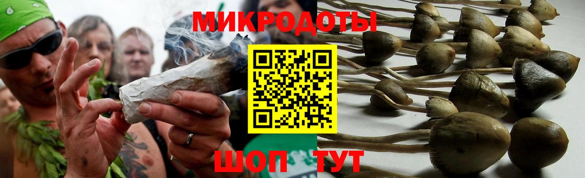 Псилоцибиновые грибы Magic Shrooms Карачаевск